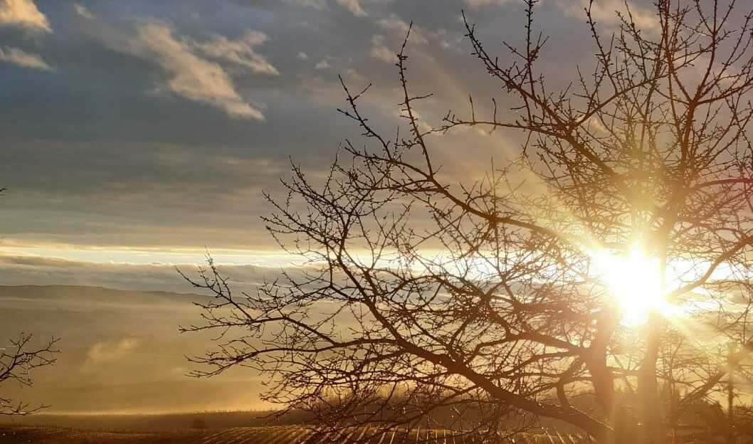 IMG-20211229-WA0004 - Kopie (2)